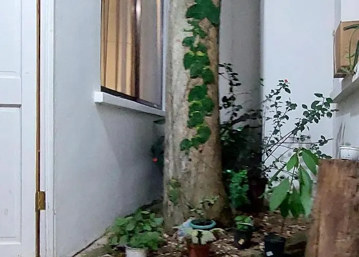 Villa Chungos