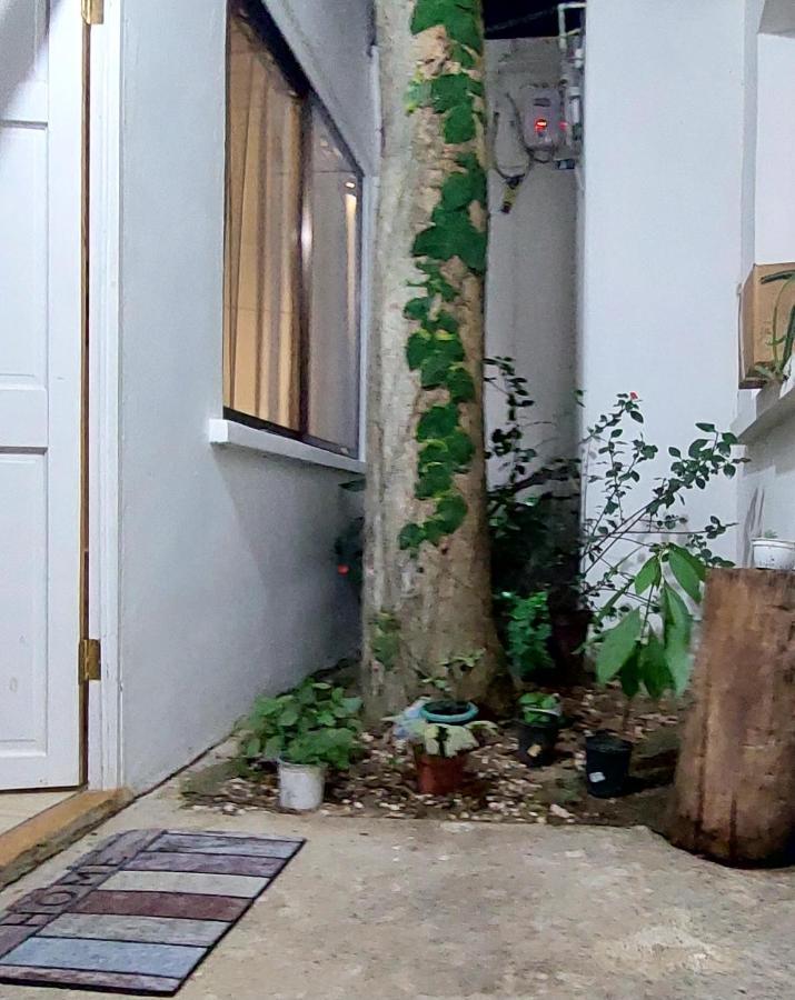 Chungos Apartamento Quebrada Ganado